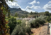 Parcel·la urbanitzable en venda a la España, Villanueva del Arzobispo, ref.: TR355190 foto