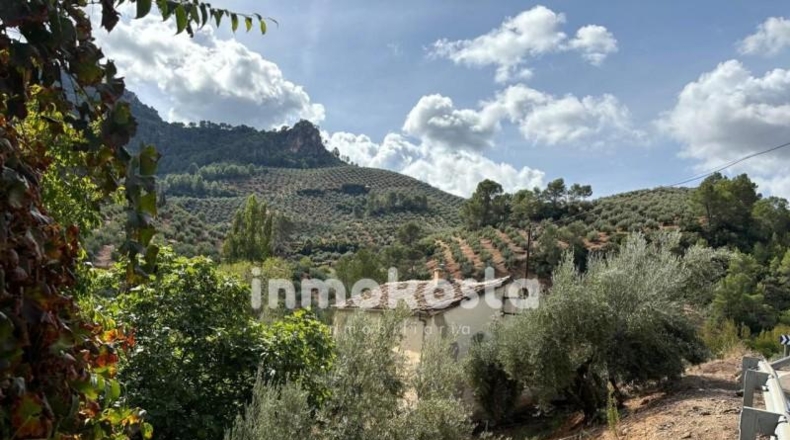 Jaén - Villanueva del Arzobispo - 7287m2