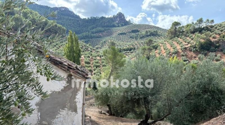 Jaén - Villanueva del Arzobispo - 7287m2