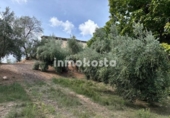 Parcel·la urbanitzable en venda a la España, Villanueva del Arzobispo, ref.: TR355190 foto