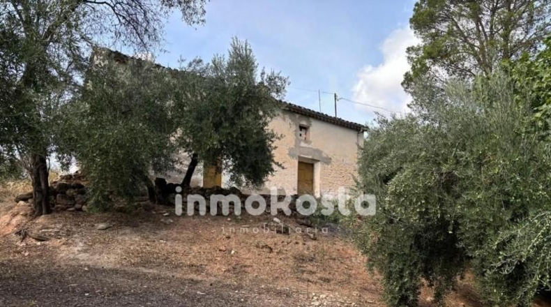 Jaén - Villanueva del Arzobispo - 7287m2