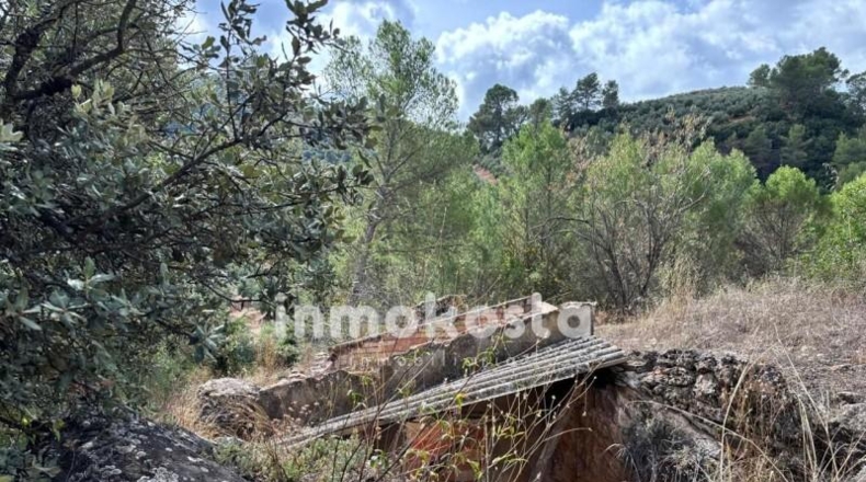 Jaén - Villanueva del Arzobispo - 7287m2