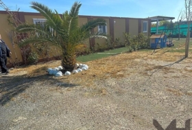 Foto 11