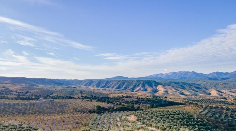 Granada - Jayena - 29102m2