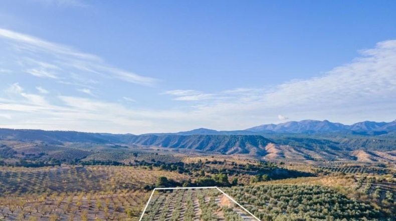 Granada - Jayena - 29102m2