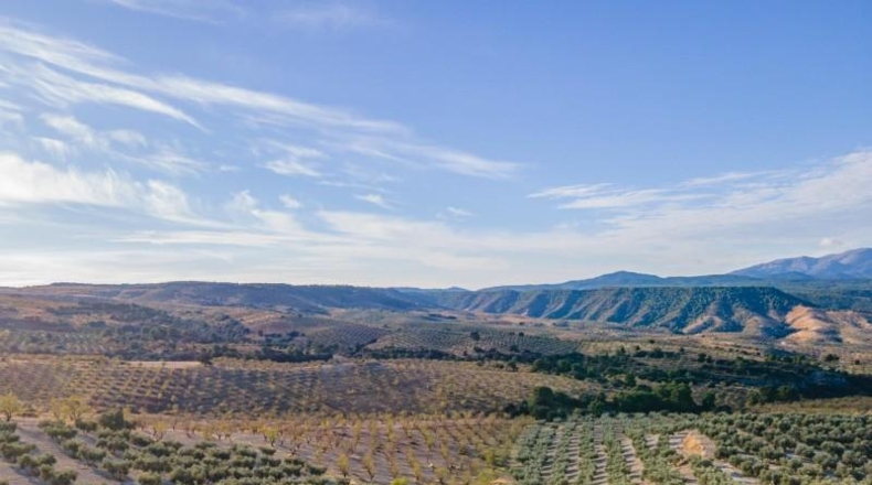Granada - Jayena - 29102m2