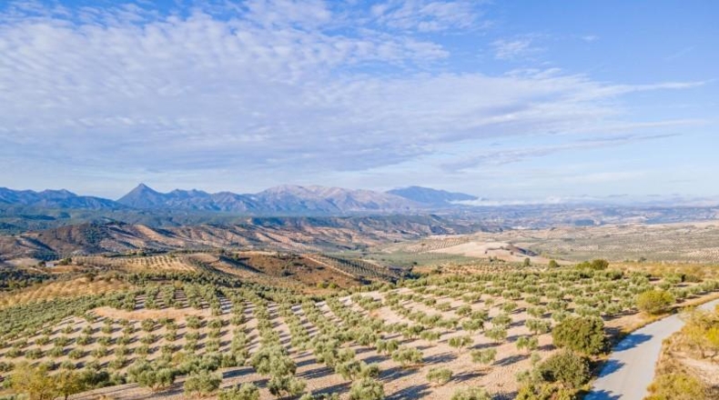 Granada - Jayena - 29102m2