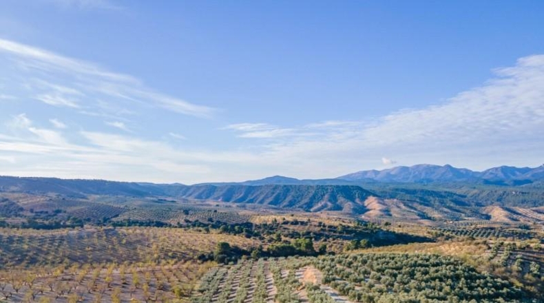 Granada - Jayena - 29102m2