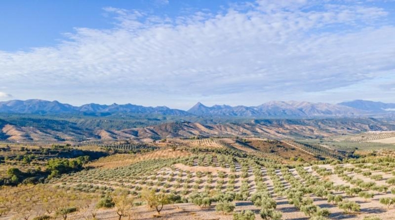 Granada - Jayena - 29102m2