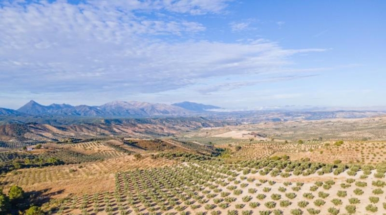 Granada - Jayena - 29102m2