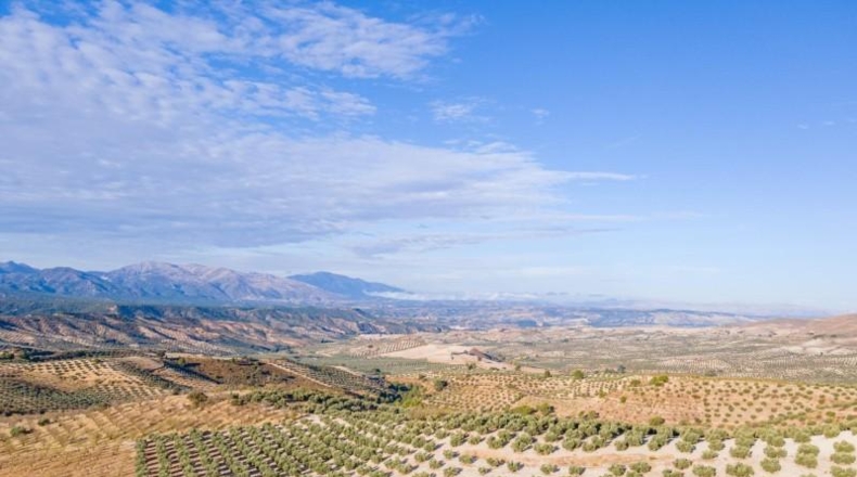 Granada - Jayena - 29102m2