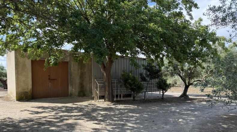 Sevilla - Las Cabezas de San Juan - 6931m2