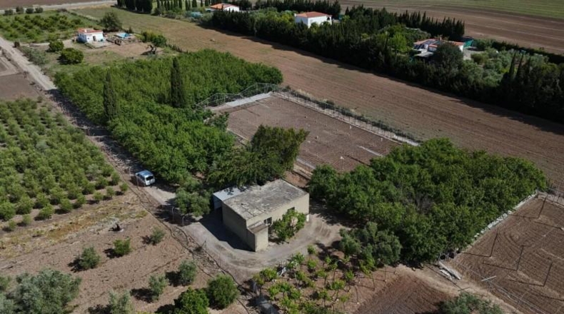 Sevilla - Las Cabezas de San Juan - 6931m2