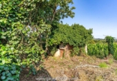 Xalet independent amb terreny en venda a la España, Carballo, ref.: TR320849 foto