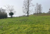 Land suitable for development for sale on España, Langreo, ref: TR218969 photo