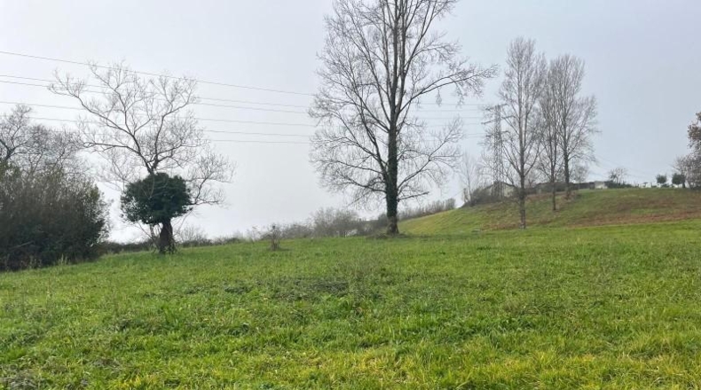 Asturias - Langreo - 1064m2