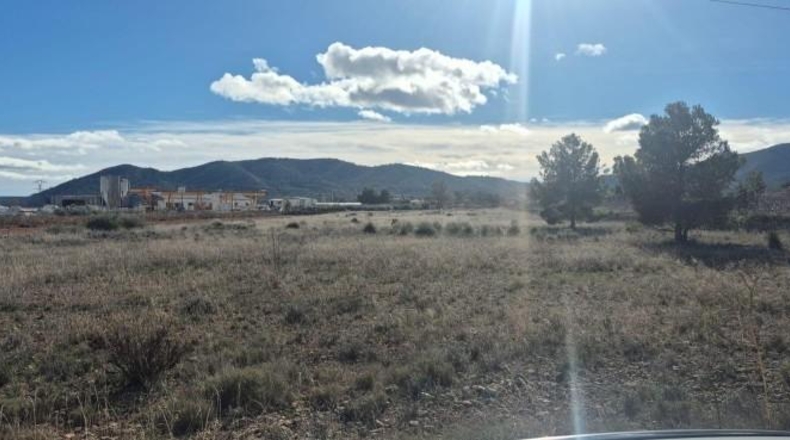 Alicante - la Romana - 12461m2