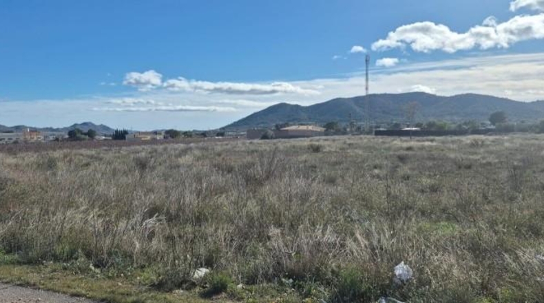 Alicante - la Romana - 14718m2