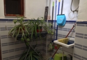 Casa de pueblo en venta en la España, Totana, ref: TR295167 foto