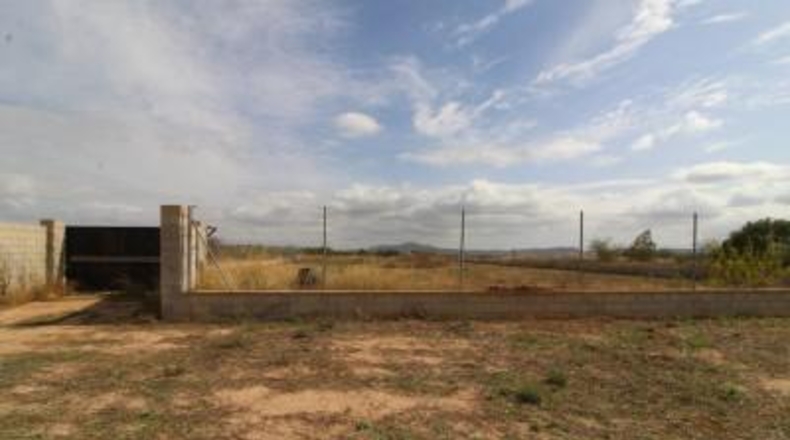 Alicante - Novelda - 6928m2