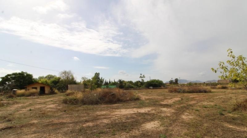 Alicante - Novelda - 6928m2
