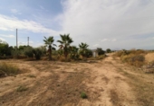 Non-developable land for sale on España, Novelda, ref: TR119702 photo