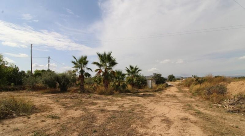 Alicante - Novelda - 6928m2