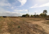 Non-developable land for sale on España, Novelda, ref: TR119702 photo