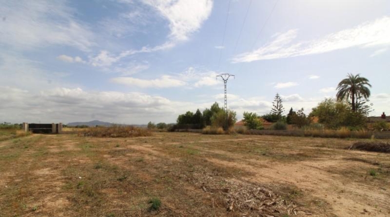 Alicante - Novelda - 6928m2