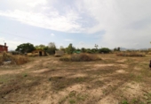 Non-developable land for sale on España, Novelda, ref: TR119702 photo