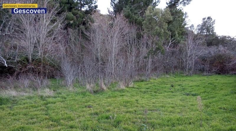 Caceres - Valencia de Alcántara - 3500m2