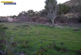 Valencia de Alcántara 3500&nbsp;m² 