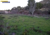 Casa de campo con terreno en venta en la España, Valencia de Alcántara, ref: TR311025 foto