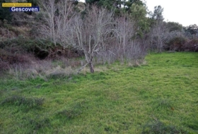 Valencia de Alcántara 3500&nbsp;m² 