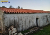 Casa de campo con terreno en venta en la España, Valencia de Alcántara, ref: TR311025 foto