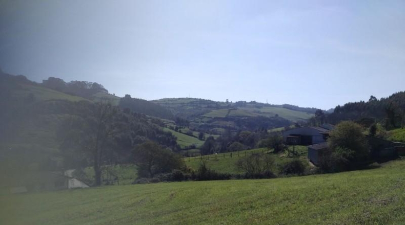 Asturias - Gijón - 4913m2