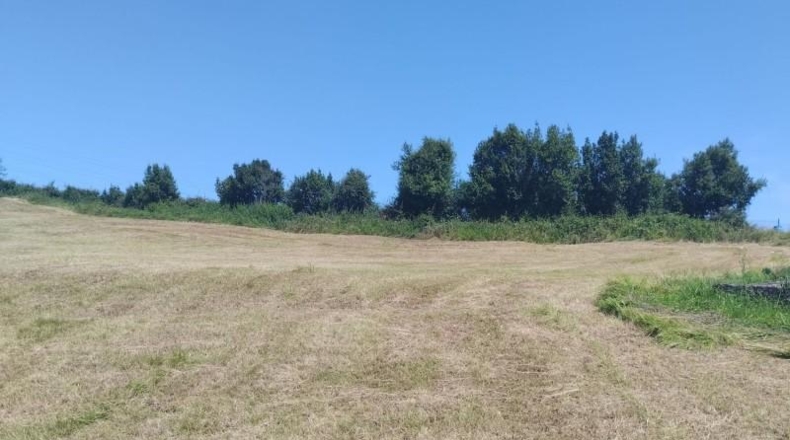 Asturias - Gijón - 1886m2
