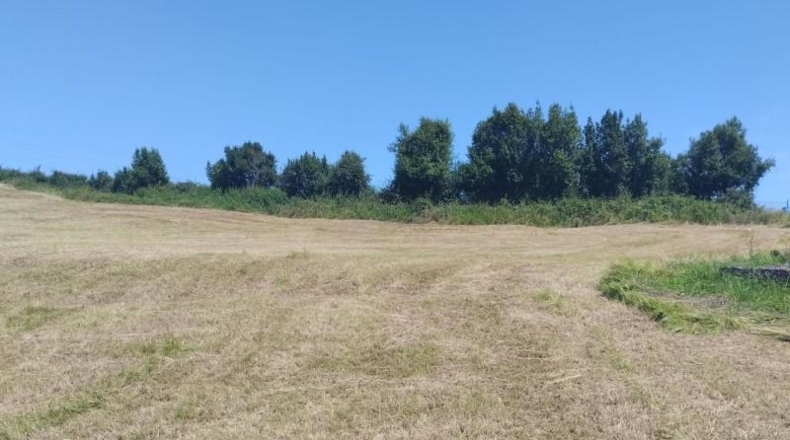Asturias - Gijón - 1886m2