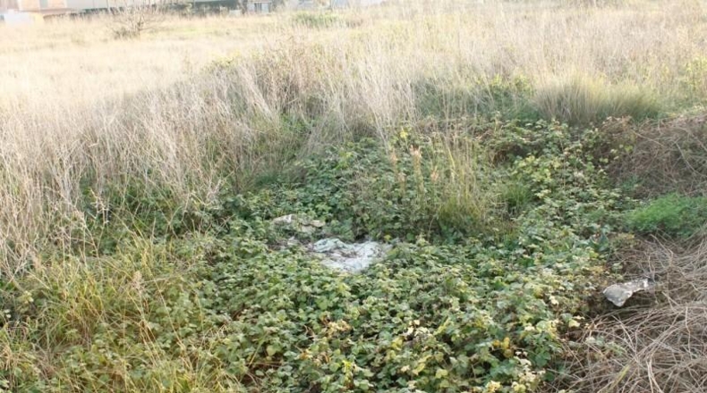 Tarragona - Ulldecona - 395m2