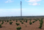 Non-developable land for sale on España, Mahora, ref: TR120740 photo