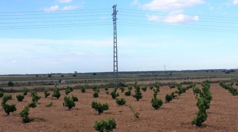 Albacete - Mahora - 14828m2