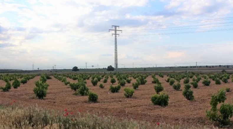 Albacete - Mahora - 14828m2