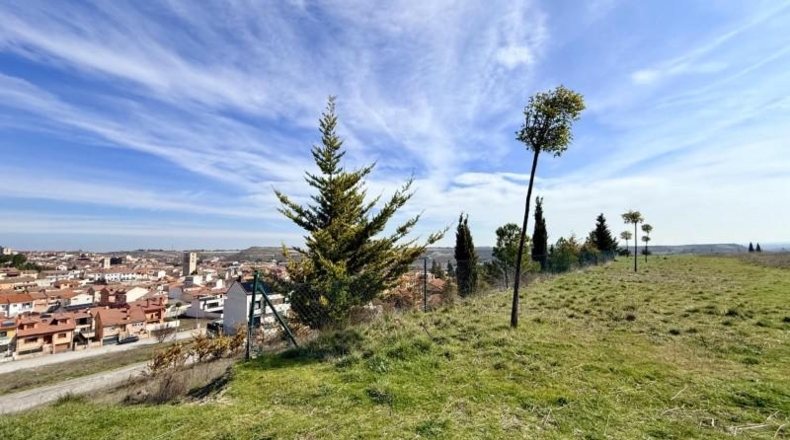 Segovia - Cuéllar - 18480m2