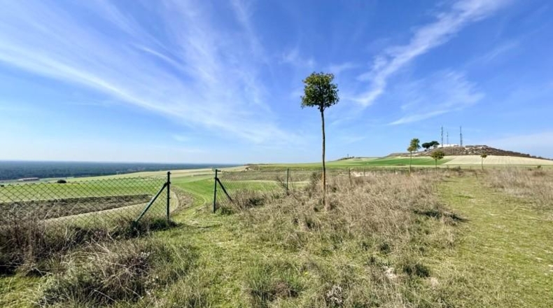 Segovia - Cuéllar - 18480m2