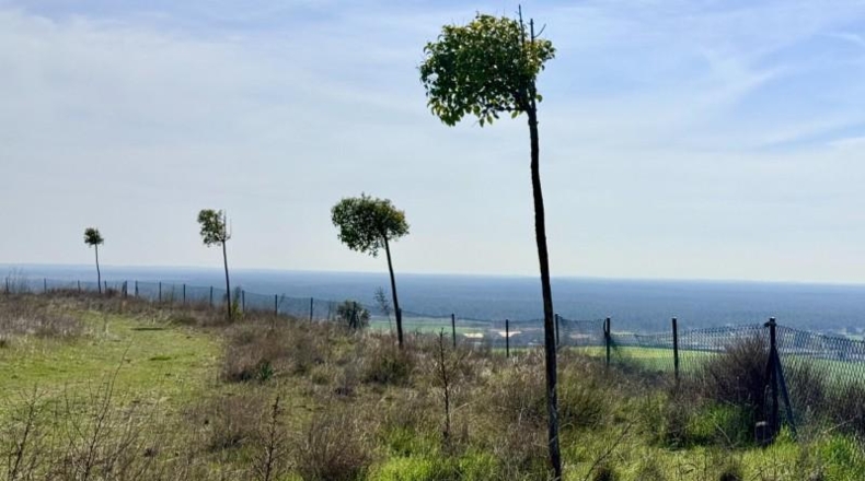 Segovia - Cuéllar - 18480m2