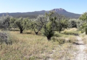 Non-developable land for sale on España, Moratalla, ref: TR306389 photo