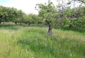 Moratalla 4351&nbsp;m² 