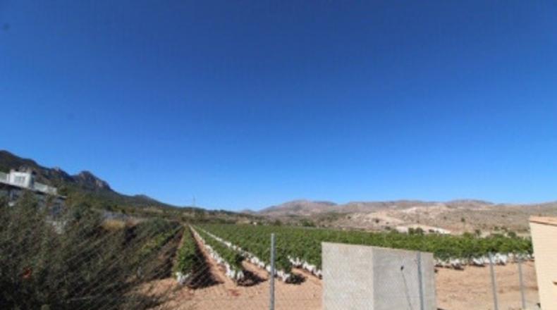 Alicante - la Romana - 12000m2