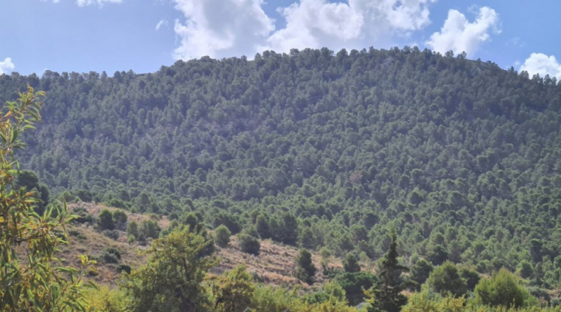 Alicante - Hondón de los Frailes - 25000m2