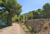 Terreny no urbanitzable en venda a la España, el Fondó dels Frares, ref.: TR116412 foto